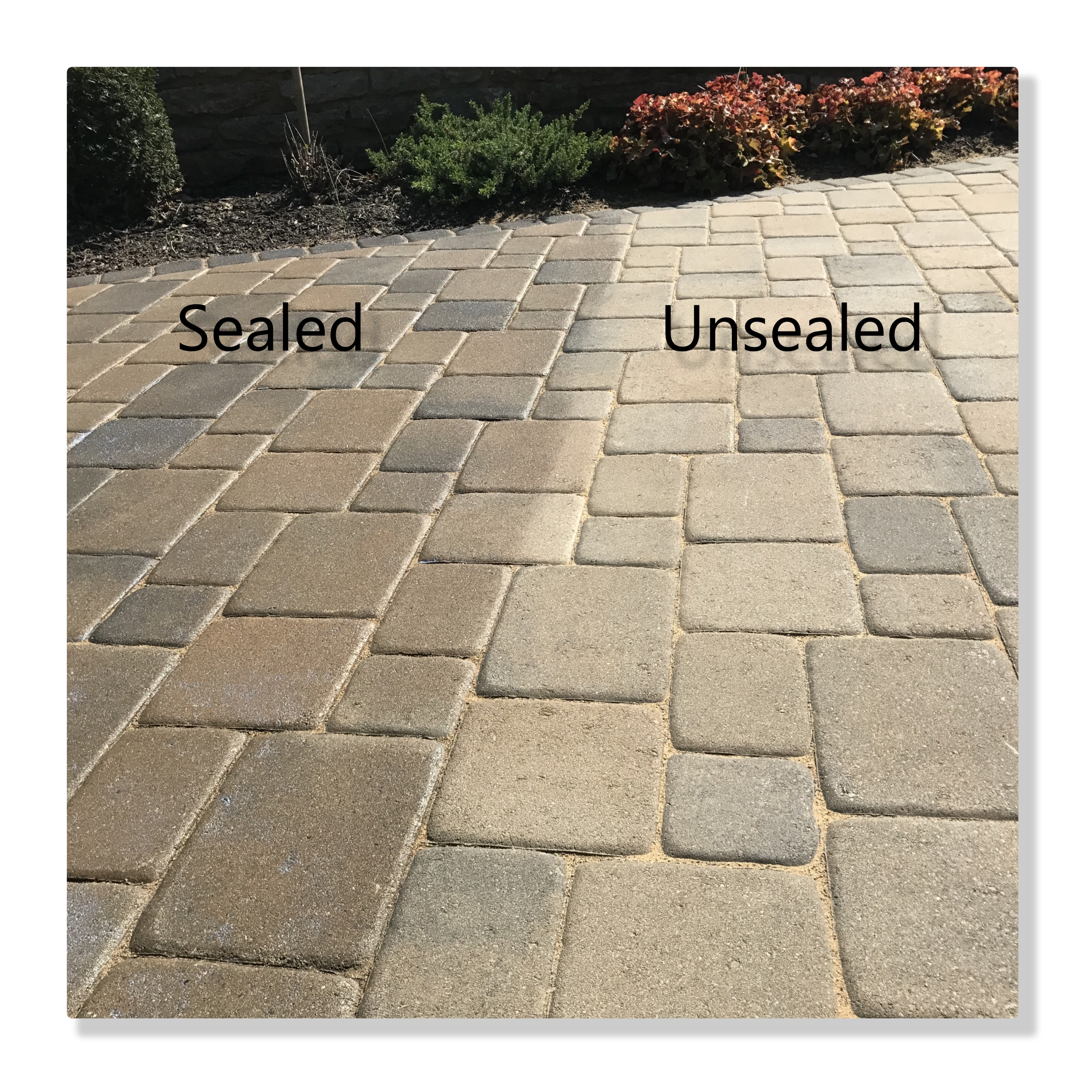 Paver sealing comparison — sealed vs unsealed pavers side by side